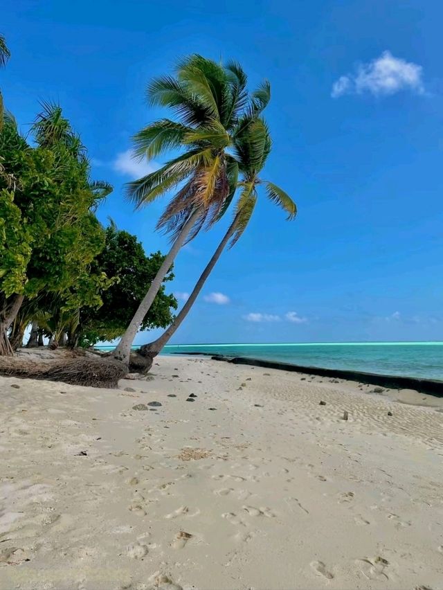 Onuk Island: A Hidden Pearl of Palawan