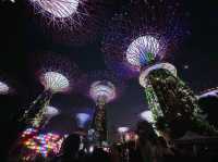 Garden by the Bay Lightshow 