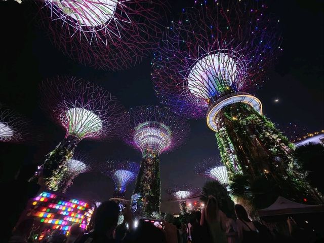 Garden by the Bay Lightshow 
