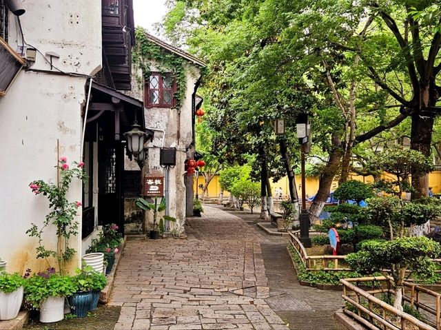 I visited Wuzhen, and now I feel Zhouzhuang is good as well
