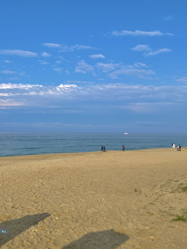 푸른 바다와 감성이 머무는 곳, 강문해변 🌊