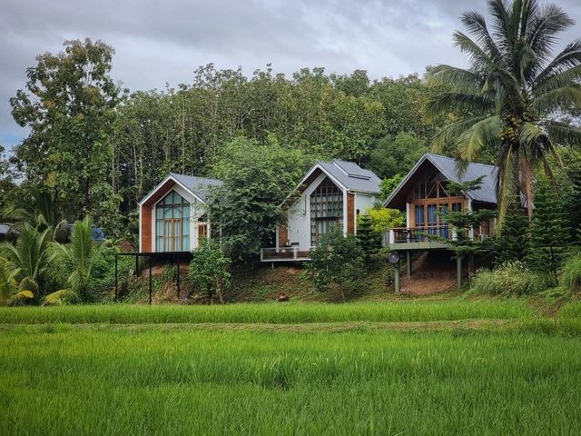 รีวิวที่พักฟิลธรรมชาติ นาแห้วรีสอร์ท จังหวัดเลย 