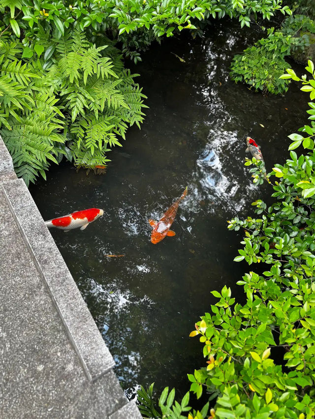 Nezu Museum: Tokyo’s Hidden Garden of Art