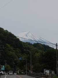 A Glimpse of Fuji, A Flood of Emotion