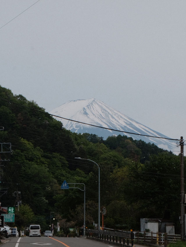 A Glimpse of Fuji, A Flood of Emotion