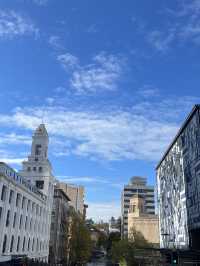 🎓🌿 The University of Waikato – Study Where Nature Breathes