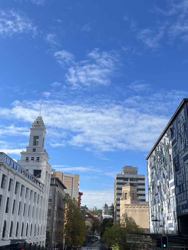 🎓🌿 The University of Waikato – Study Where Nature Breathes