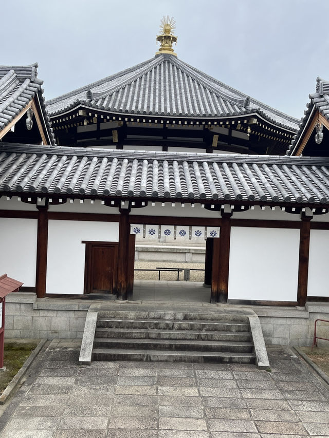 🗼⛩️ Half a Day in Osaka – From Neon to Nirvana