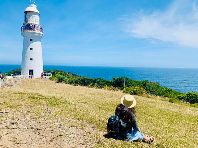 🌊 Explore the Iconic Great Ocean Road 