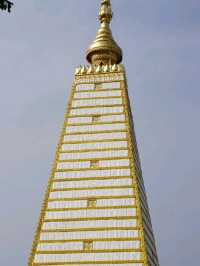 วัดพระธาตุหนองบัว