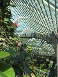 新加坡的室內植物園 Flower Dome