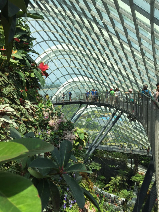 新加坡的室內植物園 Flower Dome