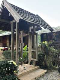 ม่อนอิงสุข eco stay โฮมสเตย์กลางป่า เชียงใหม่