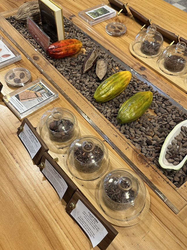 A Sweet Escape at Beryl’s Chocolate, Jalan Panggong 🍫