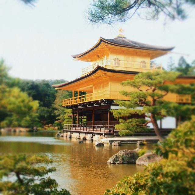 วัดคินคะคุจิ(Kinkakuji)