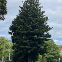 Carlton Gardens – Melbourne