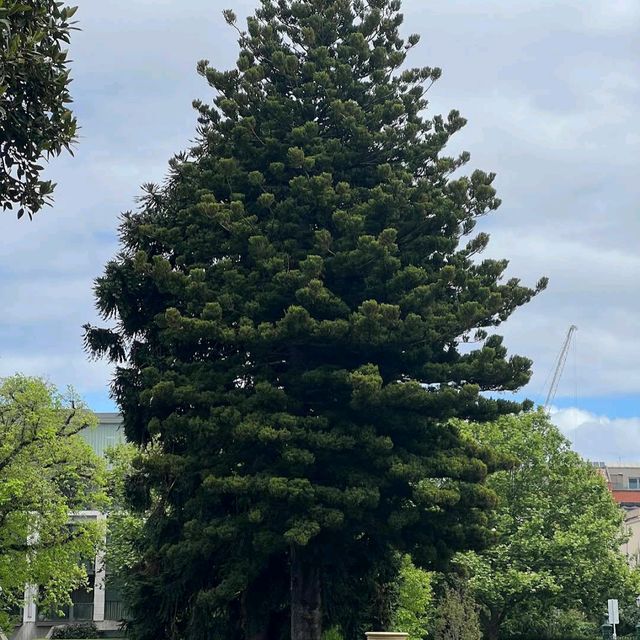 Carlton Gardens – Melbourne