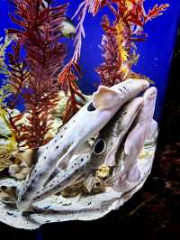 Coastal Currents & Wrecked Wonders at Aquaria KLCC