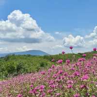 Donghouse Khaoyai — คาเฟ่ขาวคลีน โอบล้อมด้วยขุนเขา