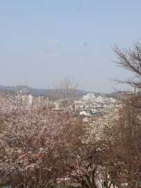 Seoul in April