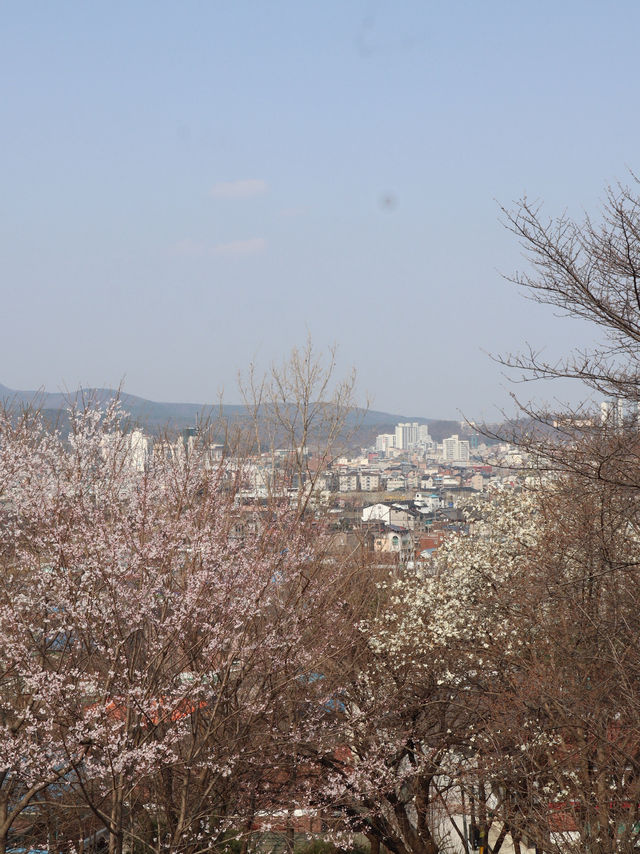 Seoul in April