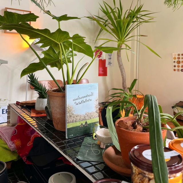 𝗦𝘂𝗻𝘀𝗶𝘅𝗺𝗼𝗼𝗻 𝗰𝗮𝗳𝗲 🌼🧺