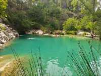 Pou Clar Paradise