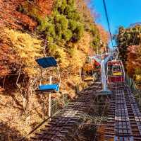 Conquer Mount Takao: Tokyo’s Best Summer Escape for Solo Adventurers"** 🌿⛰️