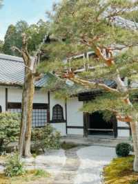 4個京都⛩️🇯🇵小眾寺廟漫遊路線 🌿