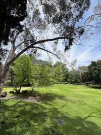 Welcome to UWA, Perth’s Most Beautiful Campus 🌿📚