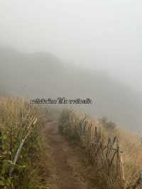 กิ่วแม่ปาน