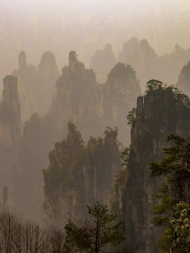 จางเจียเจี้ย สวยเหมือนไม่มีอยู่จริง ! จางเจียเจี้ย สวยเหมือนไม่มีอยู่จริง !