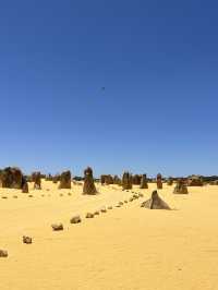 🪨 Pinnacles Desert – Western Australia’s Alien Landscape 🌌🛸