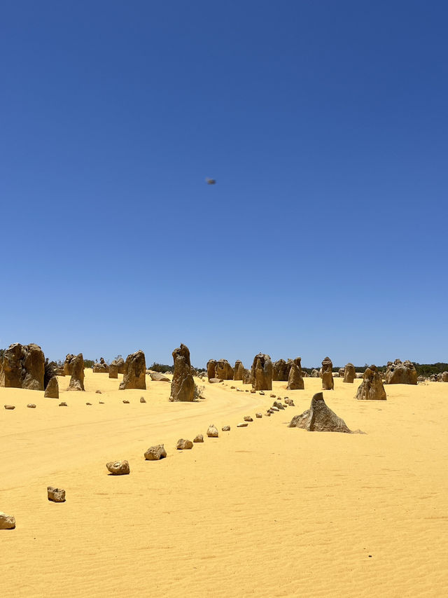 🪨 Pinnacles Desert – Western Australia’s Alien Landscape 🌌🛸