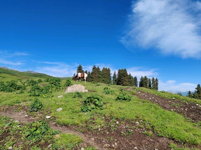 Fairy Lake: Crossing Mountains to Find the Lake