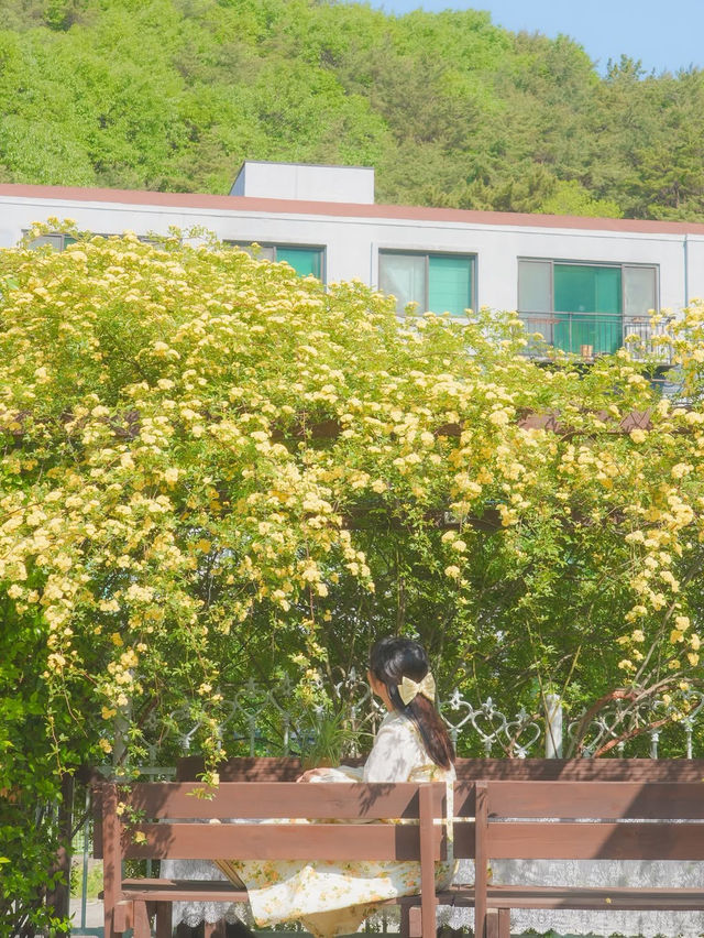 피드로도 기록해보는 창원의 노란빛 순간들💛
