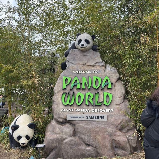 에버랜드 (Everland)