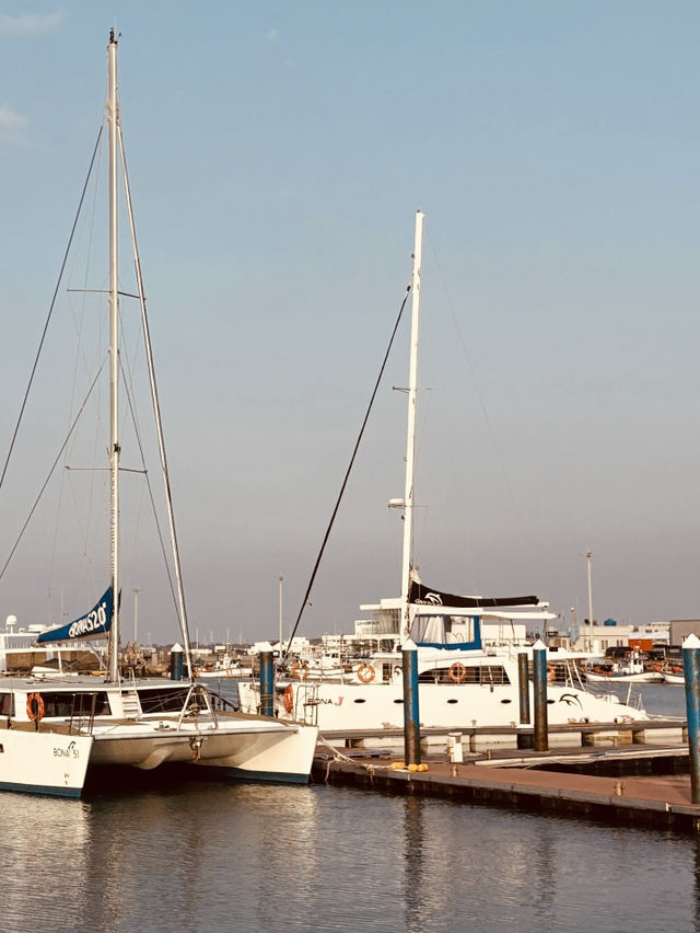Discovering Hidden Coastal Gems from the Sea