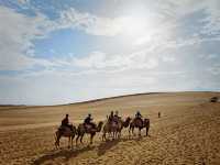 You'll want to ride on the camel again!! 🐫🏜