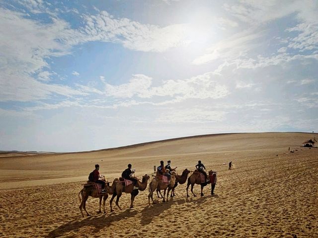 You'll want to ride on the camel again!! 🐫🏜