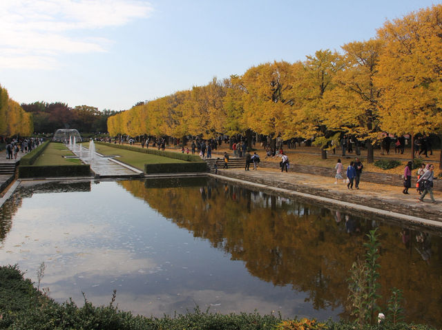 【昭和記念公園の紅葉｜東京都立川市 「秋が降ってくる。黄金のトンネルを歩く贅沢な時間」】