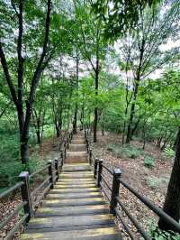 Park Trail