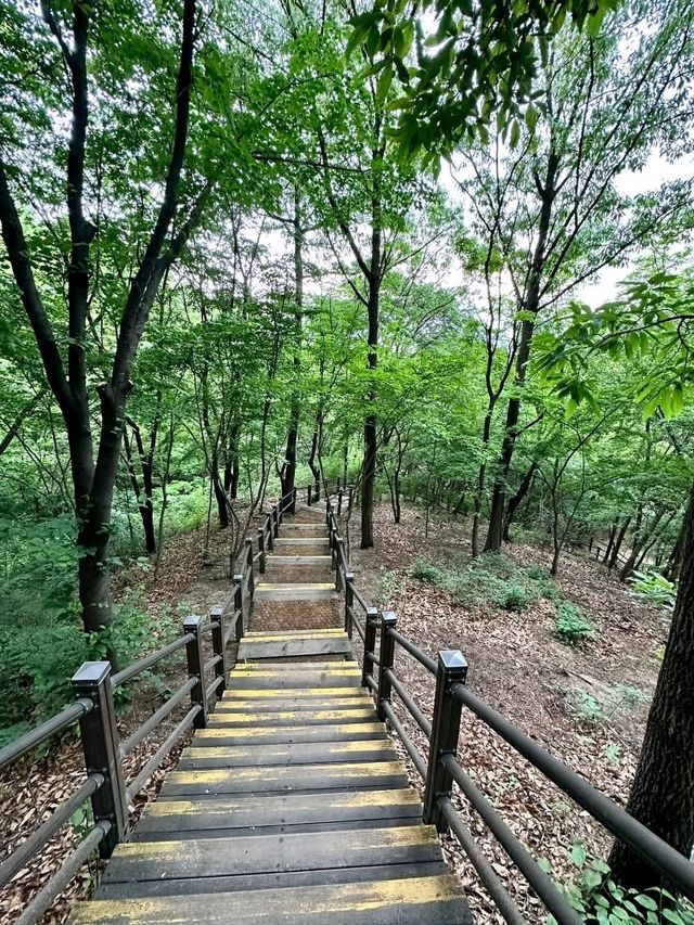 Park Trail