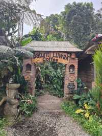 A Sip of Bali’s Soul: Tea & Coffee Tasting at the Plantation