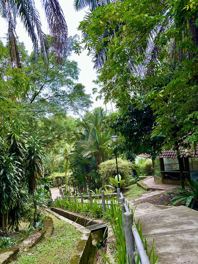 Taman Rusa: Where Cottages, Calm & Deer Meet