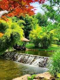 Wandering Through West Lake's Emerald Labyrinth