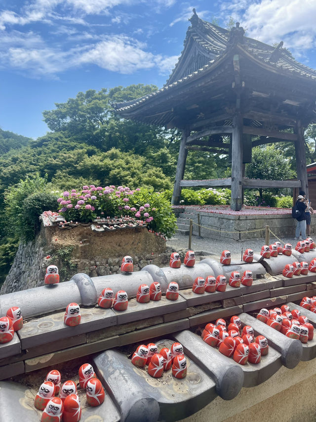 Unveiling the Daruma Temple in Osaka 