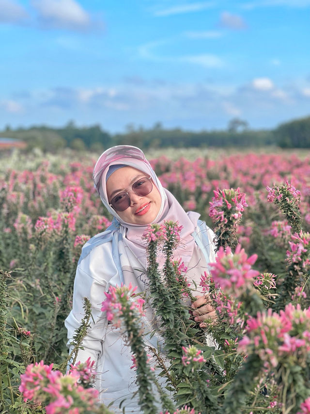 สวนลุงเวศน์ (Lungveat Garden)