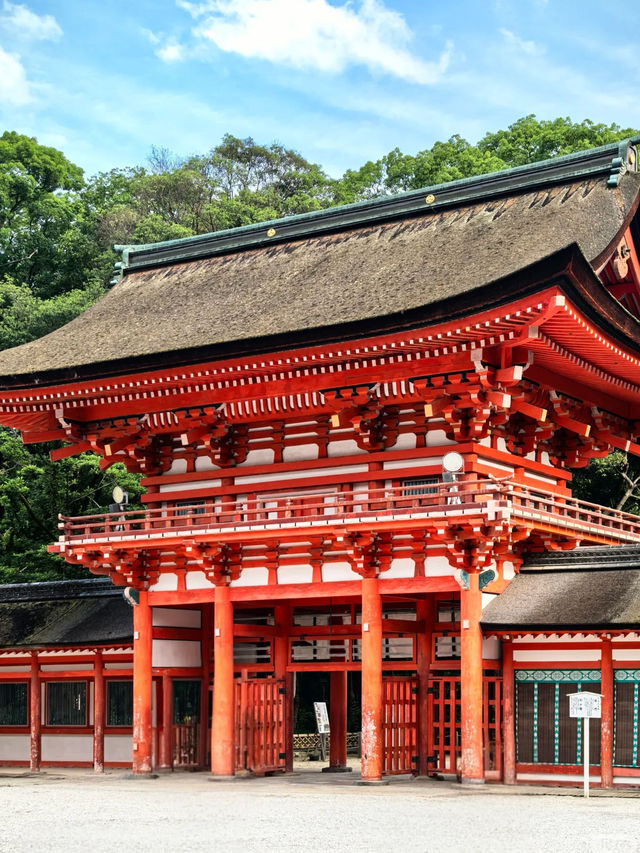 🏯 Kyoto in a Day Under RM150!