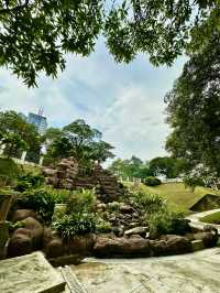 Whispers of Water: A Serene Pause in the Garden
